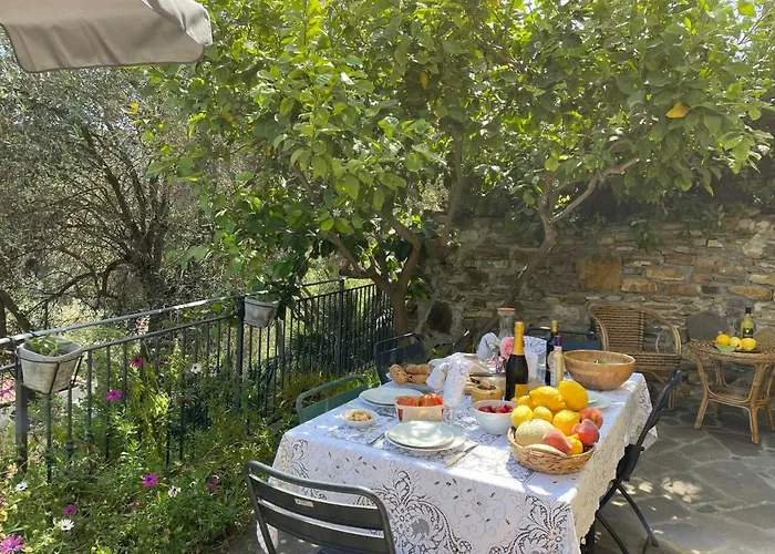 Casa Dei Fiori By Interhome Lingueglietta