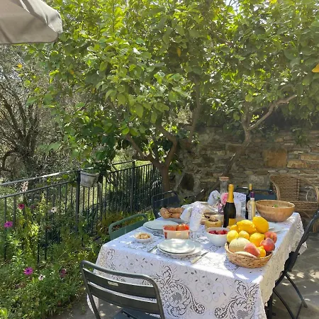 Casa Dei Fiori By Interhome Lingueglietta